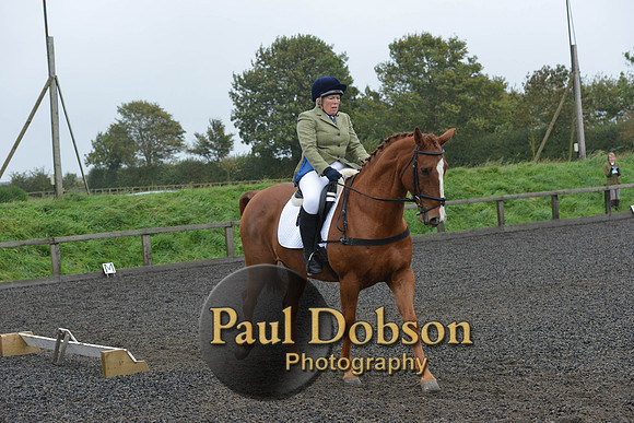 dressage-6310