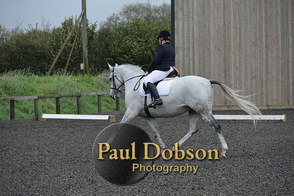 dressage-5956