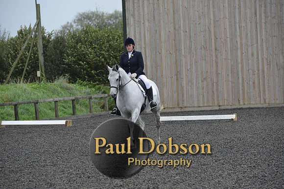 dressage-5972