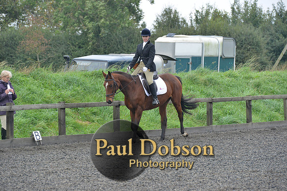 dressage-5227