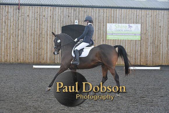 dressage-7325