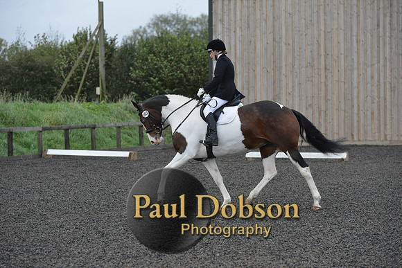 dressage-5929