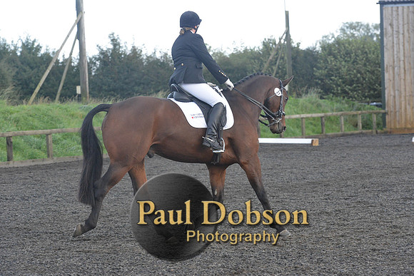 dressage-7315