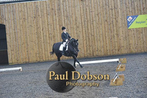 dressage-6866