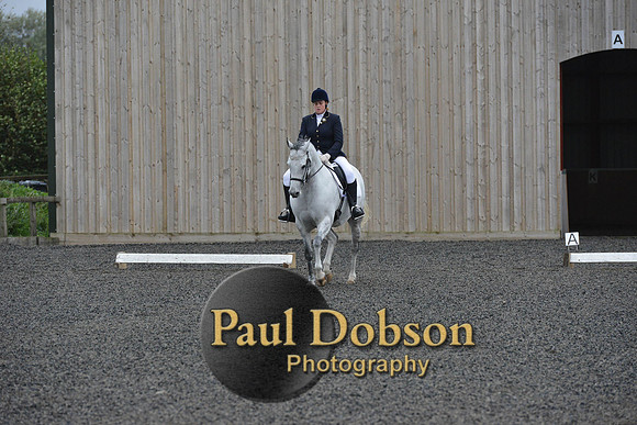 dressage-5947