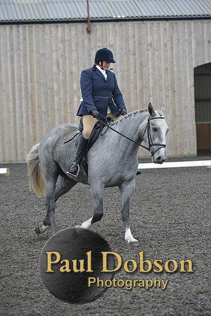 dressage-4899