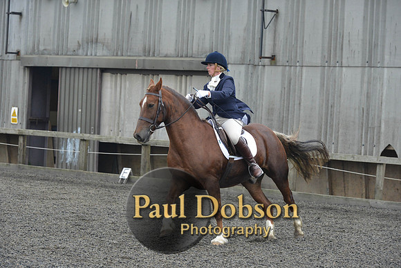 dressage-5445