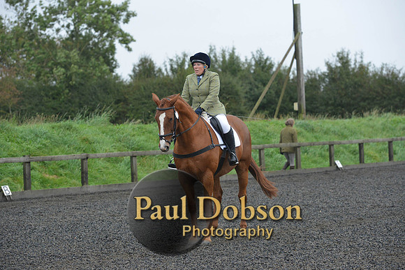 dressage-6314