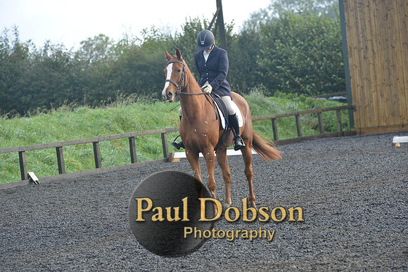 dressage-6803