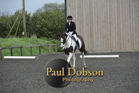 dressage-5943