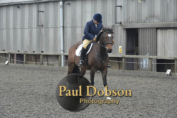 dressage-5713