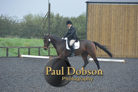 dressage-6466