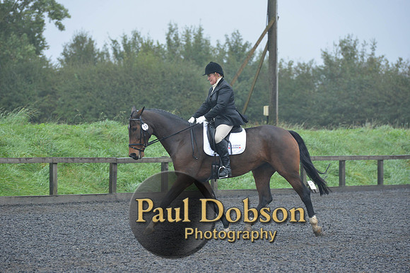 dressage-6468