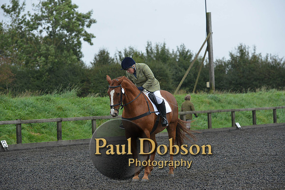 dressage-6313