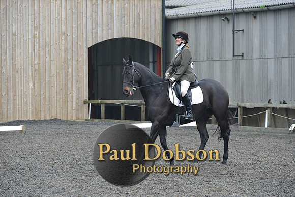 dressage-5459
