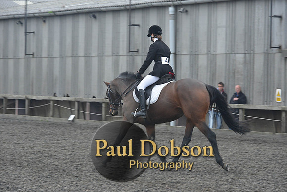 dressage-5856