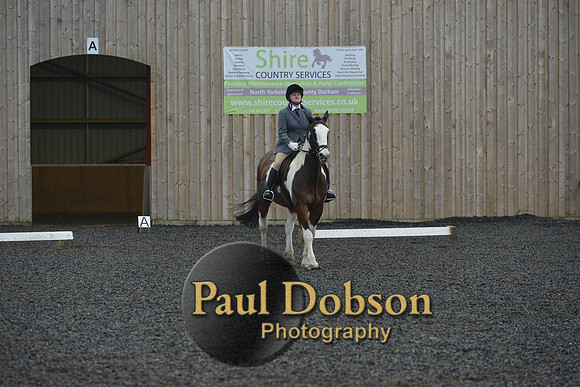dressage-6324