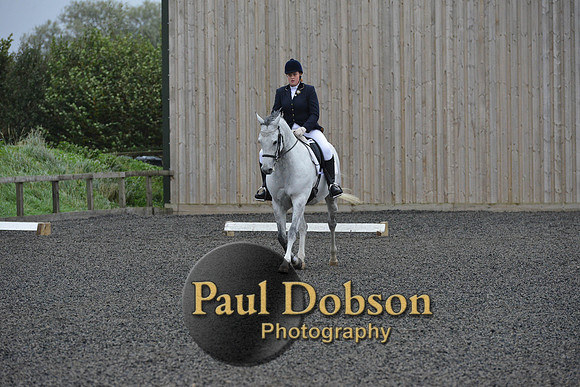 dressage-5949