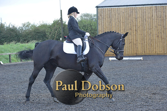 dressage-6851