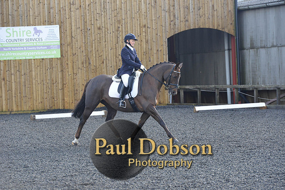 dressage-6869