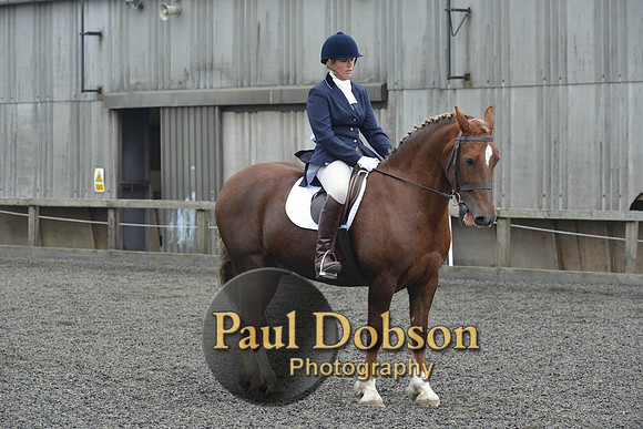 dressage-5452