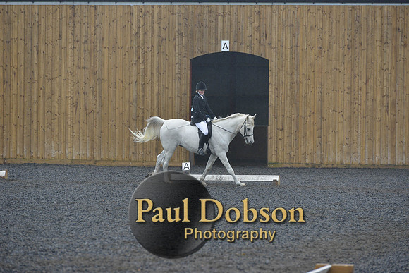 dressage-6484