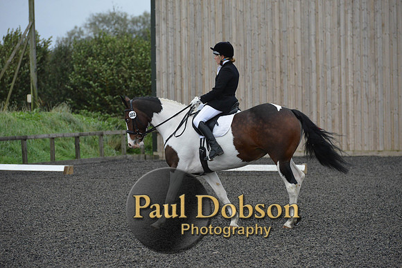 dressage-5934