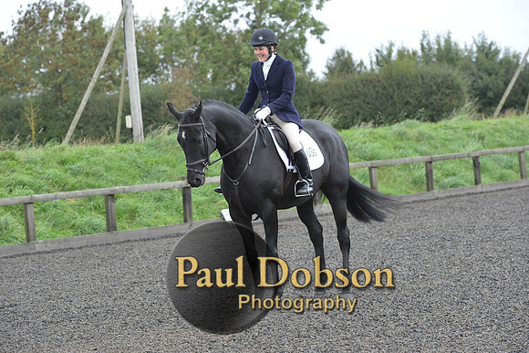 dressage-5915