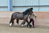 Class 09-Young Handlers