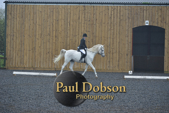 dressage-6473