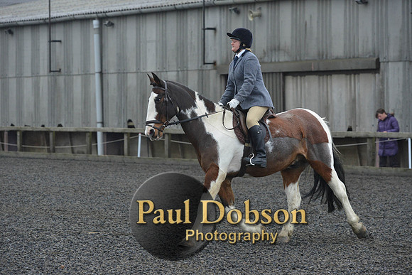 dressage-6321