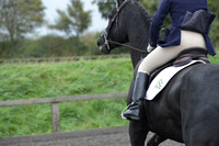 dressage-5903