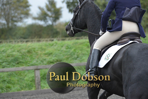 dressage-5903