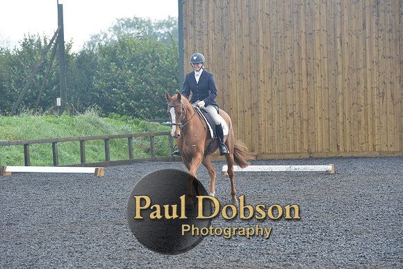 dressage-6771