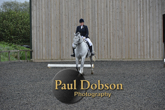 dressage-5948