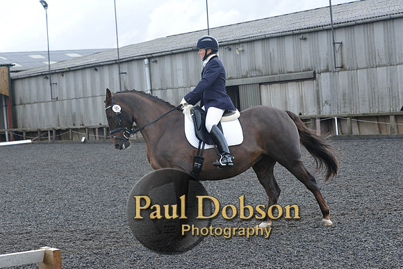 dressage-6891