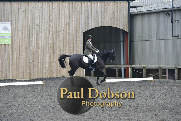 dressage-5456
