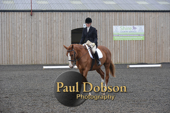 dressage-4512