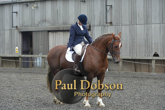 dressage-5453