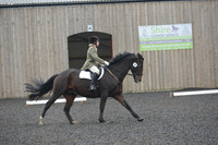 dressage-6291