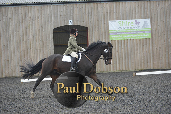 dressage-6291