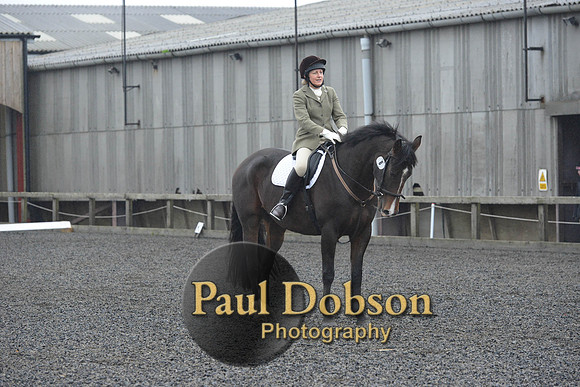 dressage-6307