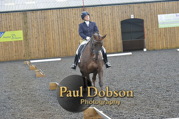 dressage-6894