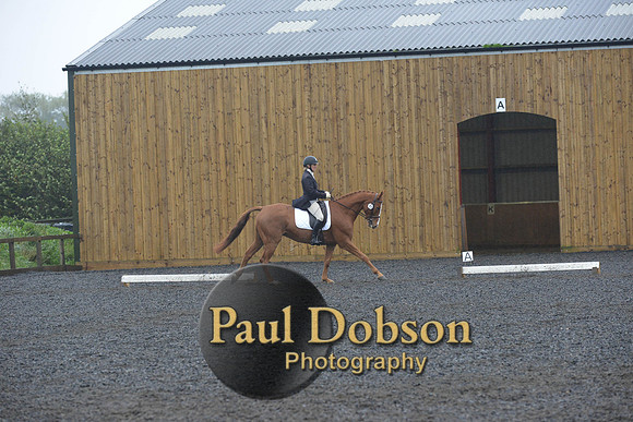 dressage-6629