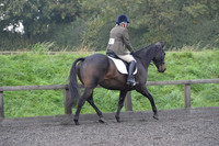 dressage-5177