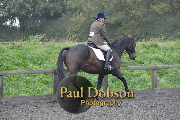 dressage-5177