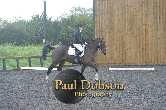 dressage-6763
