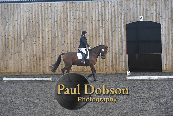 dressage-7319