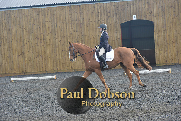 dressage-6792