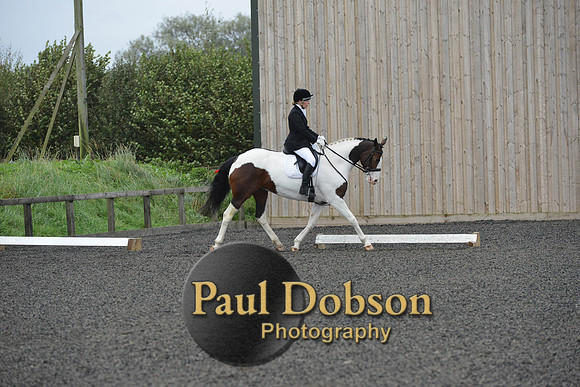 dressage-5932